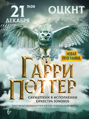 Гарри Поттер. Оркестр Sonorus