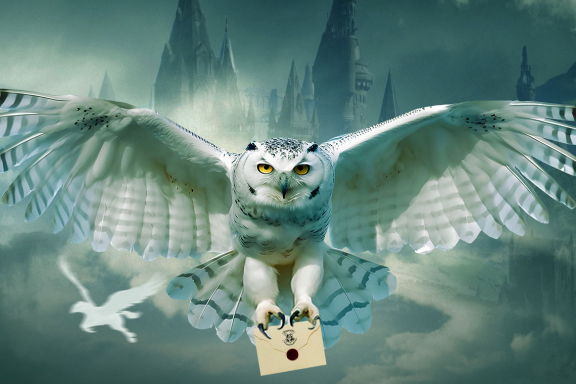 Гарри Поттер. Оркестр Sonorus